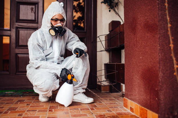 Reliable Cockroach Control contractor in Ferriday, LA by Nex Pest Control